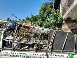 Best Commercial Junk Removal in Boise City, OK